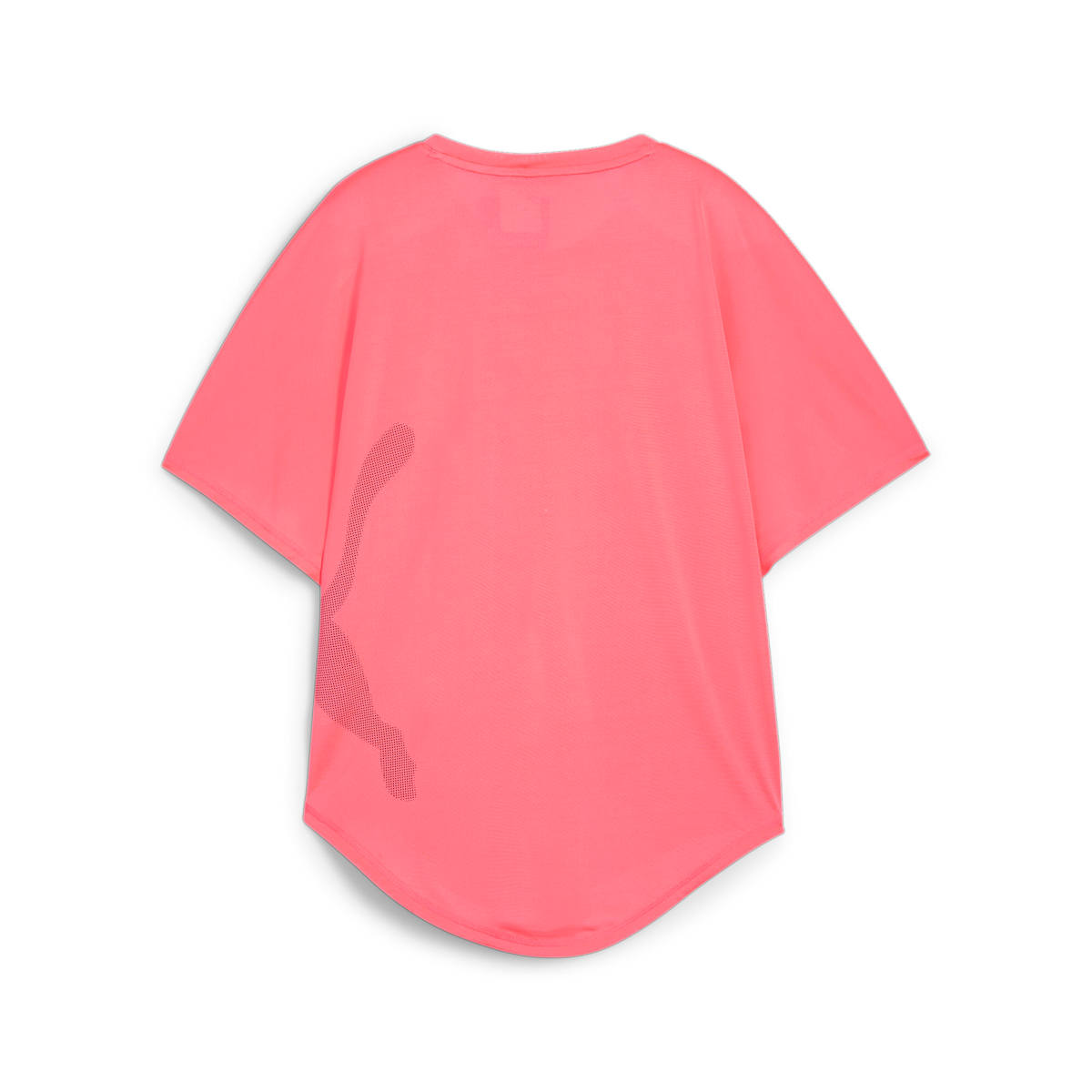 TRAIN ALL DAY BIG CAT TEE Sunset Glow model image