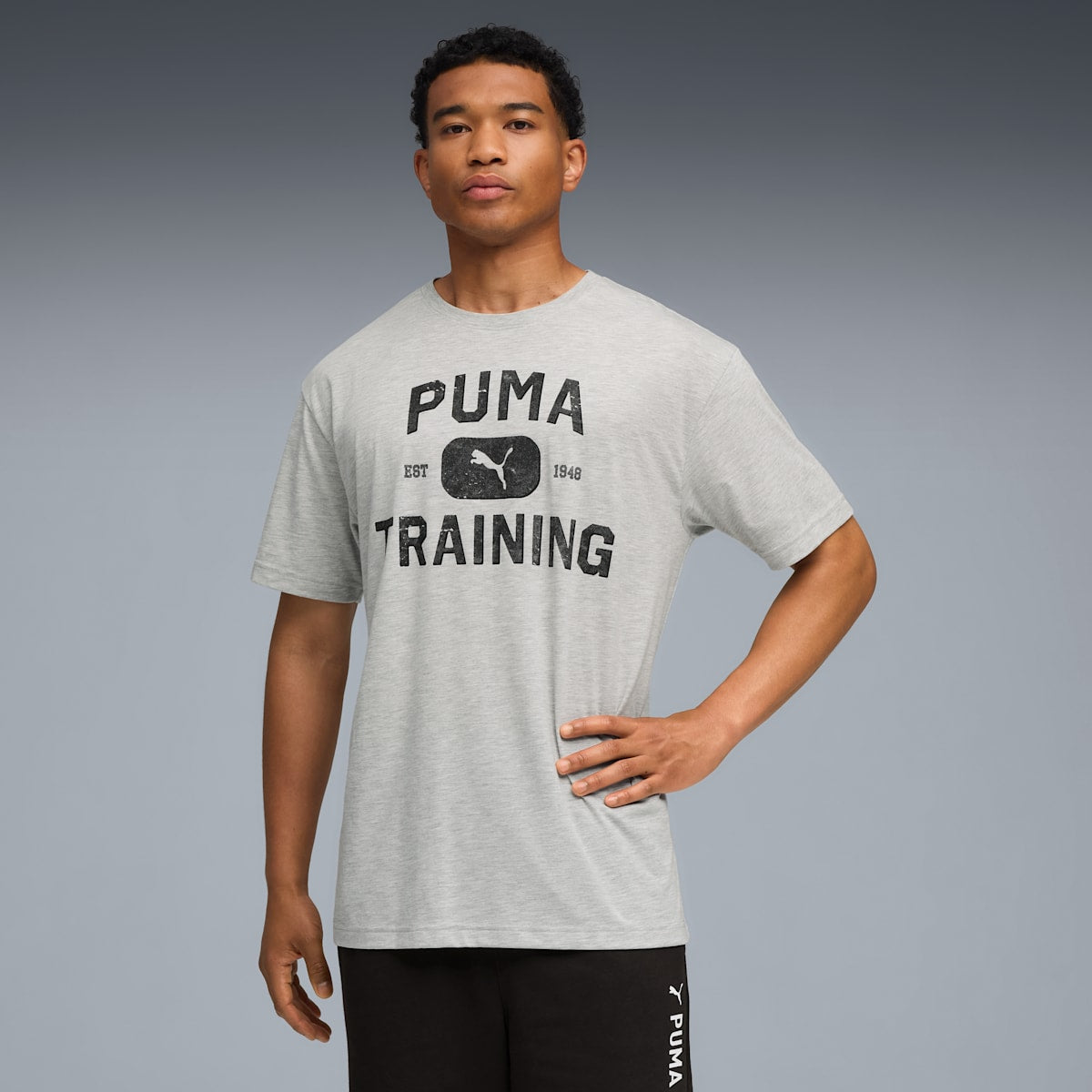 Graphics Train Logo Relaxed Tee Men - Light Gray Heather model image