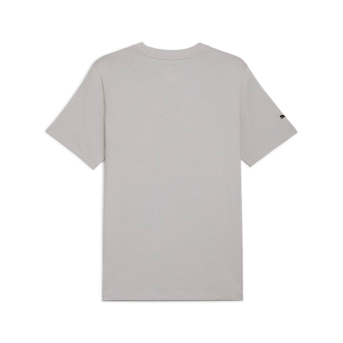 MAPF1 Logo Tee Team Silver model image