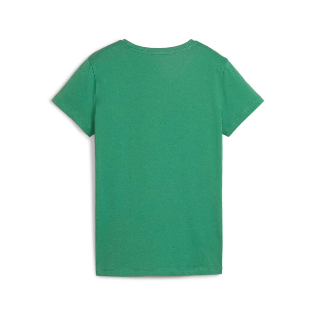 ESS+ Script Tee Archive Green model image