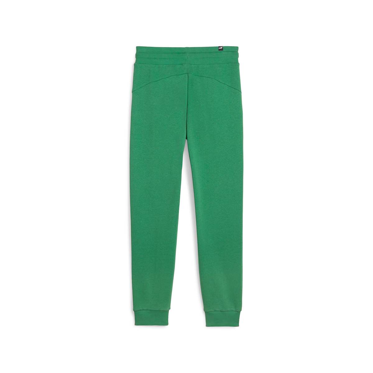 ESS+ Script Pants TR Archive Green model image