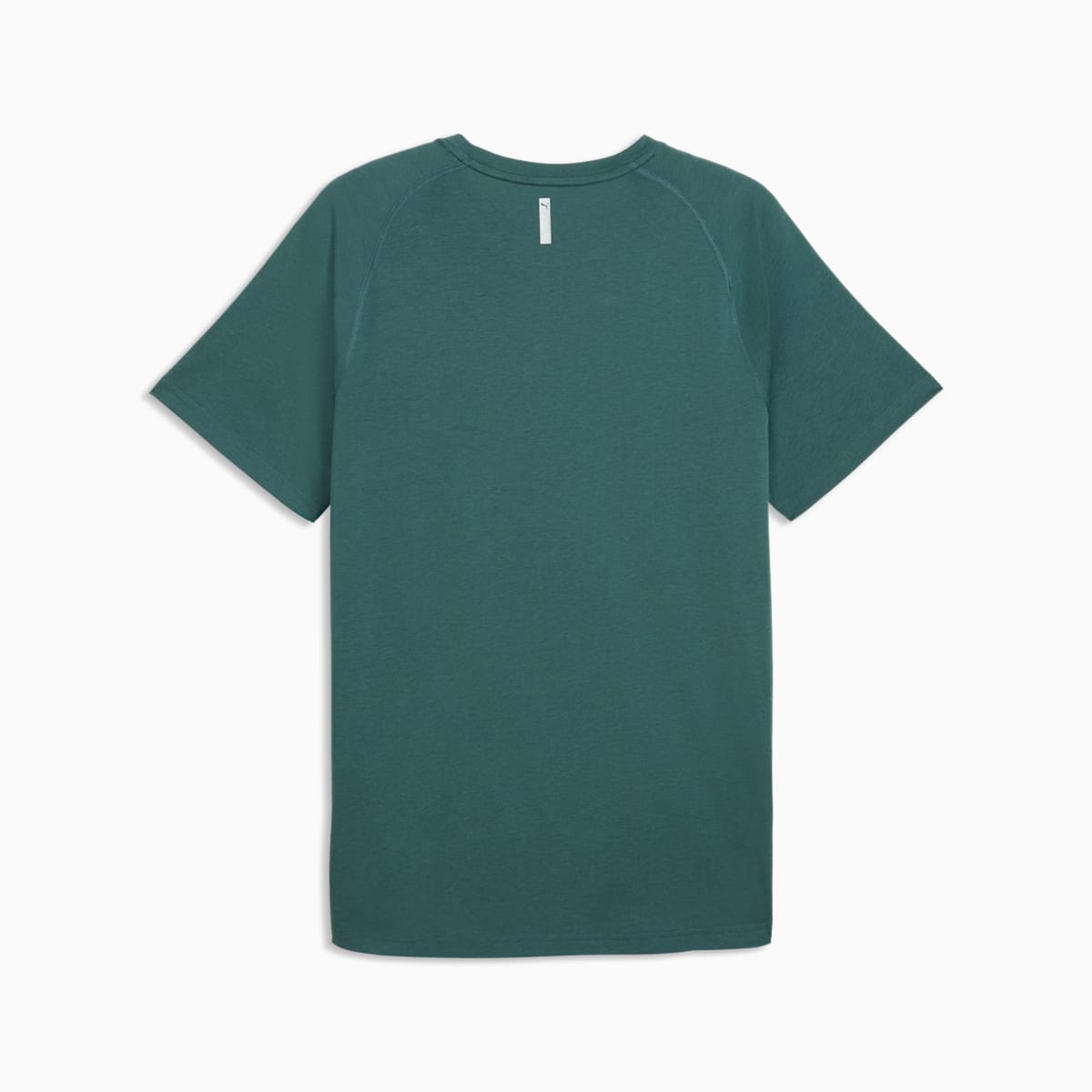 PWRTRAIN Training Tee Men - Herb Garden - back on white background