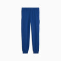 BMW M Motorsport Men's PM1 Pants - Colour 04 - back on white background