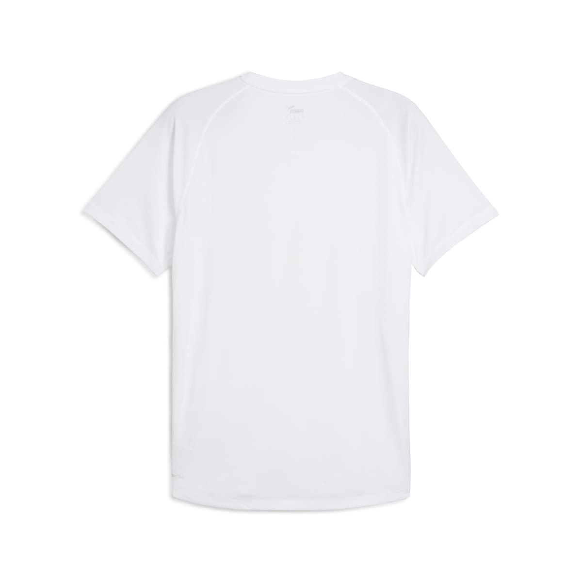 VELOCITY Running Tee Men - PUMA White back view