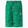 CLASSICS SUPER PUMA Shorts Wv B Grassy G front view